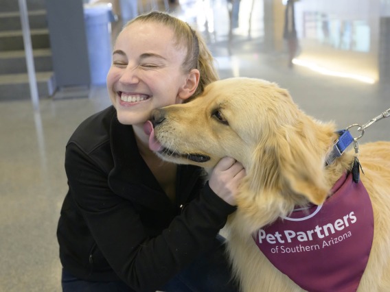 A golden retriever with a neck scarf that reads “Pet Partners” licks the face of a smiling young woman as she pets it. 
